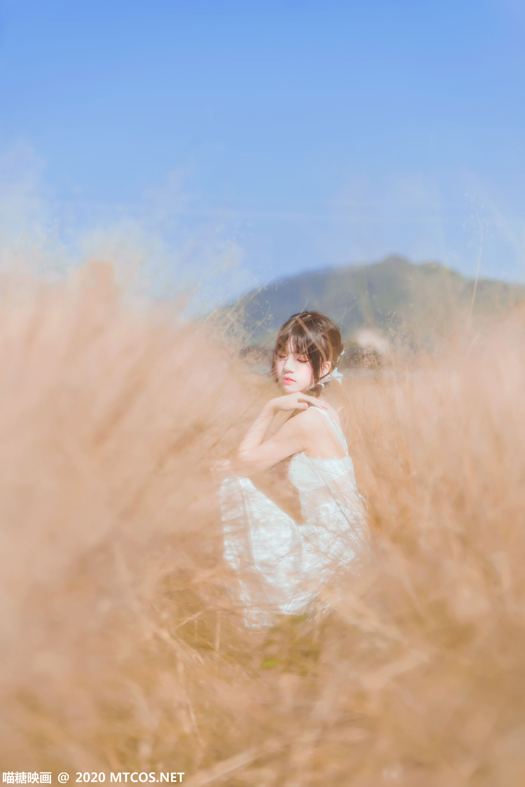 [糖] Vol.224 “Late Autumn Wilderness” Photo Album