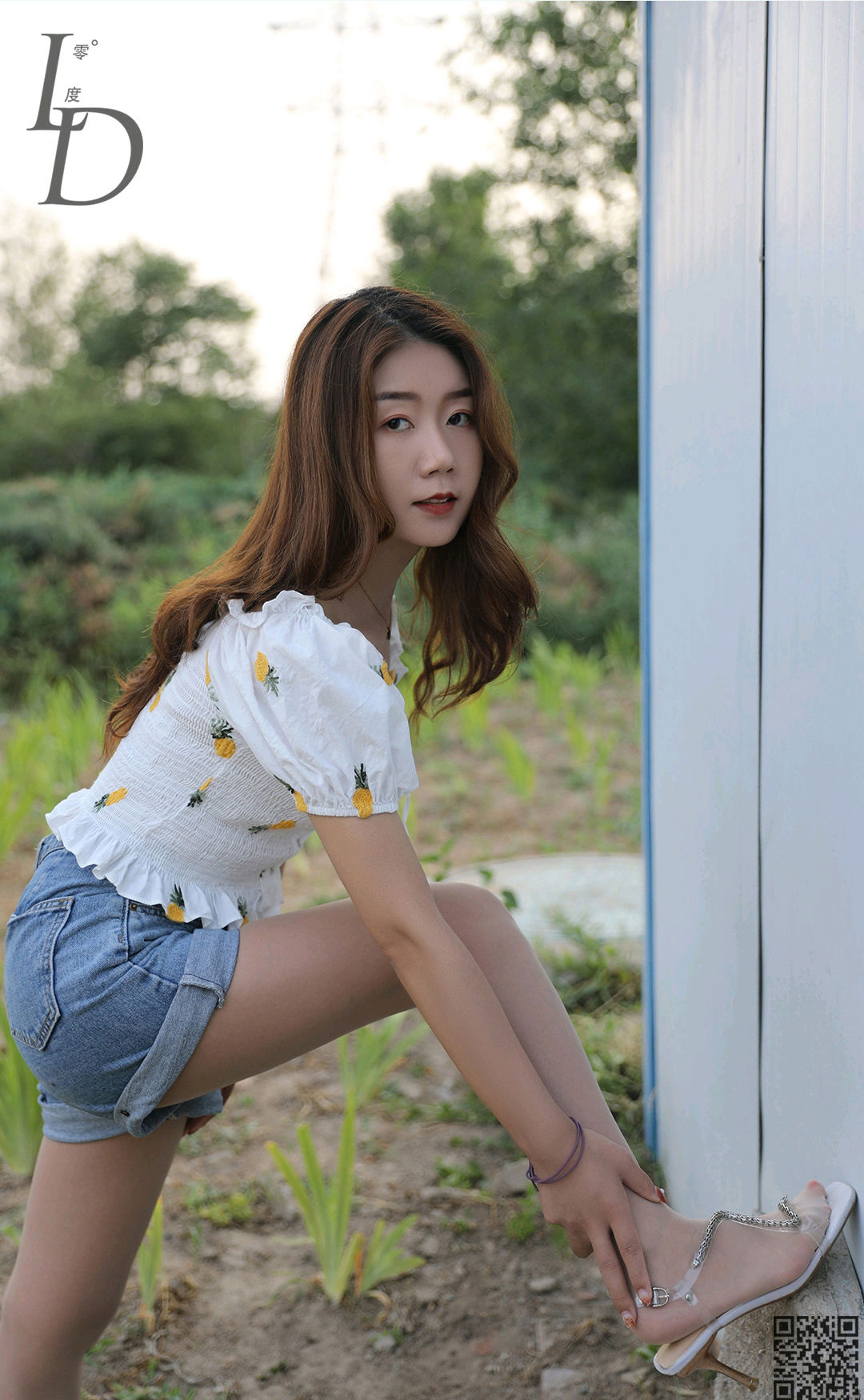 [Ld zero] No.066 snowflake photo set