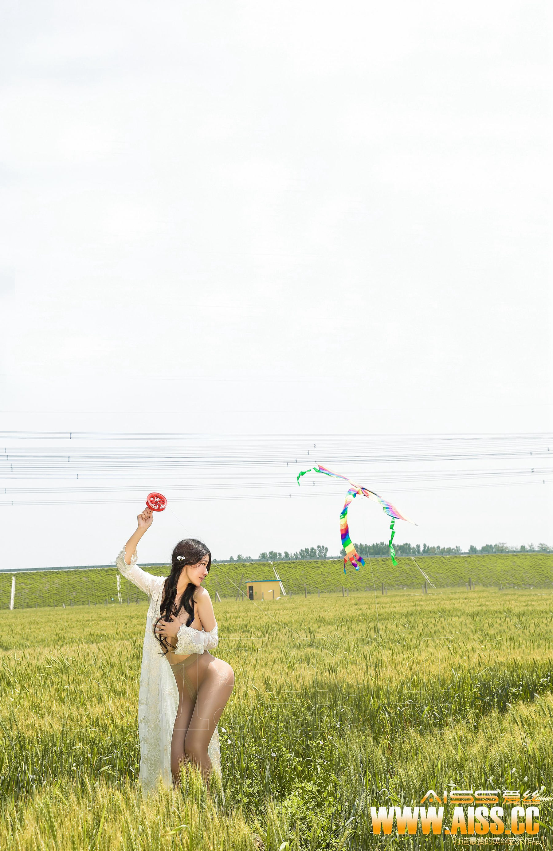 Meixin’s “Riders in the Wheat Field” [AISS] F5019 Photo Album