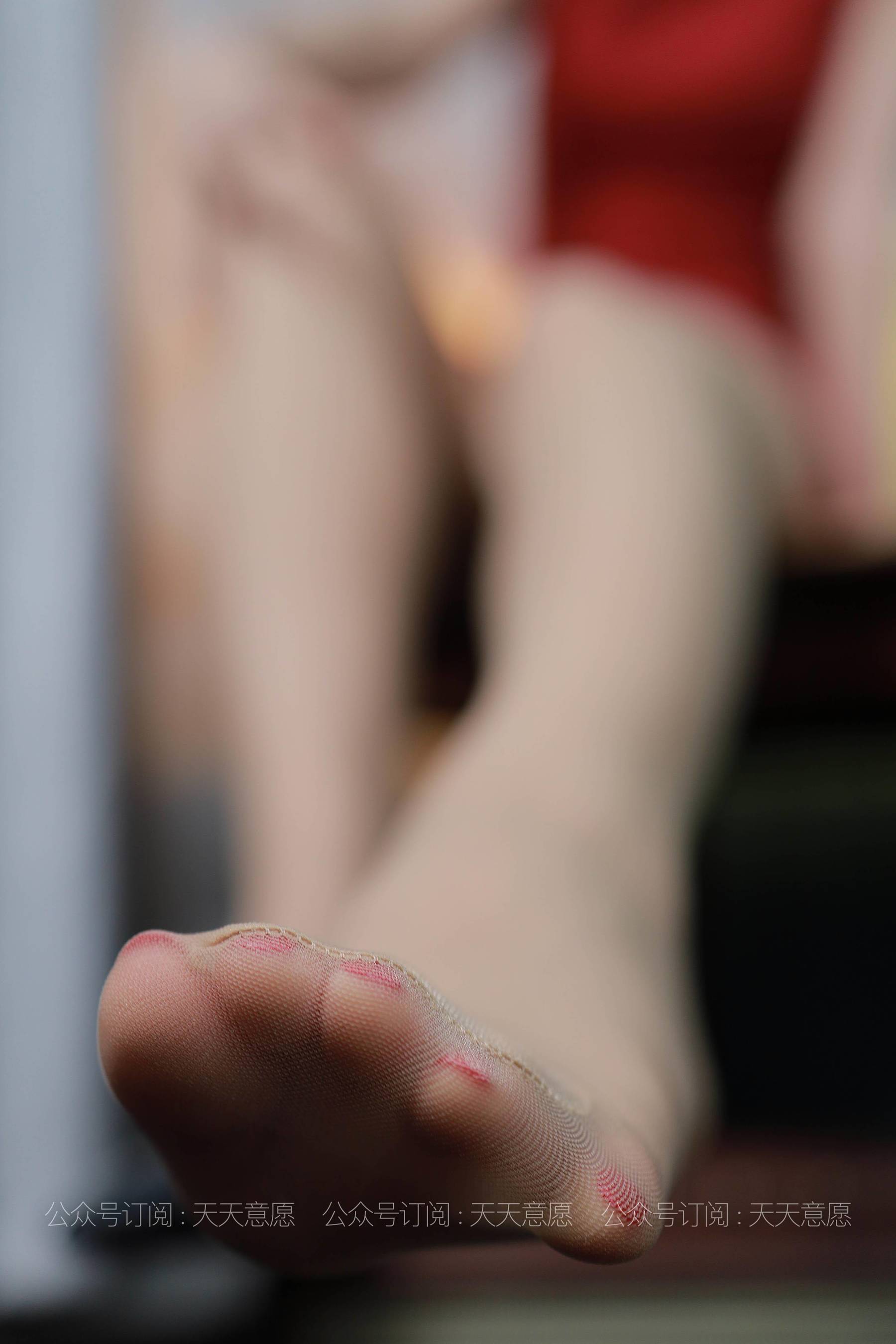 [IeSS distortion] silk enjoy home 769 can be “cheongsam beauty people” stockings beautiful leg photo